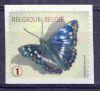 Vlinders-Belgie-(uit 2012)-xx